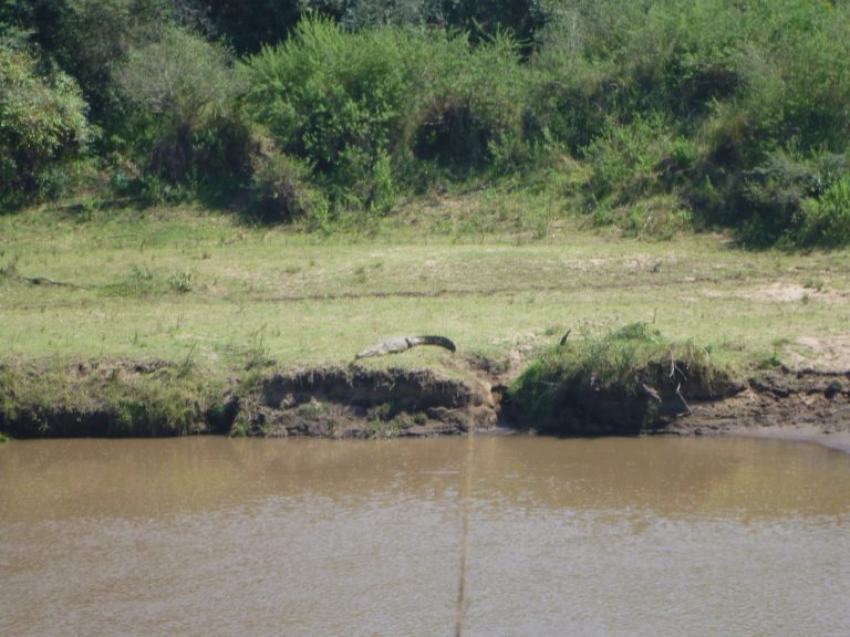 On The Road – way2blue – Massi Mara, Kenya in July 4 of 6 3