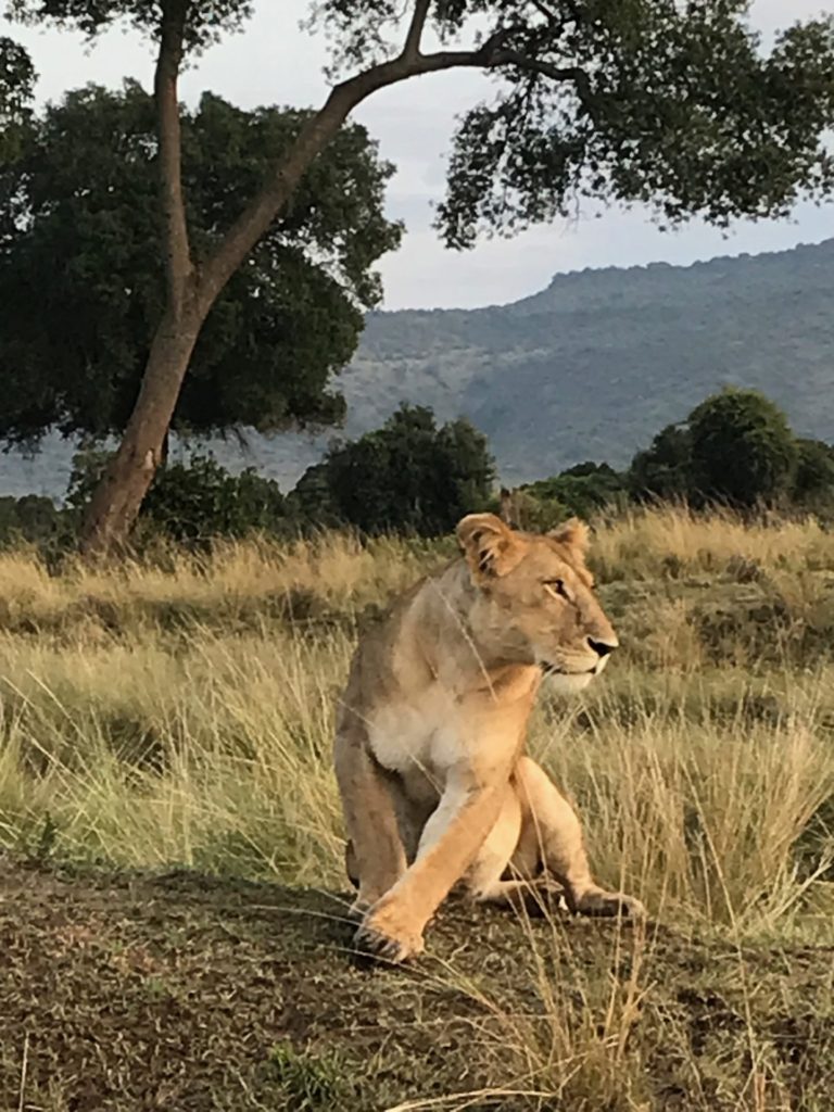 On The Road – way2blue – Massi Mara, Kenya in July 4 of 6 2