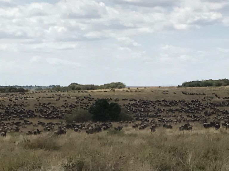 On The Road - way2blue - Massi Mara, Kenya in July 2 of 6 2