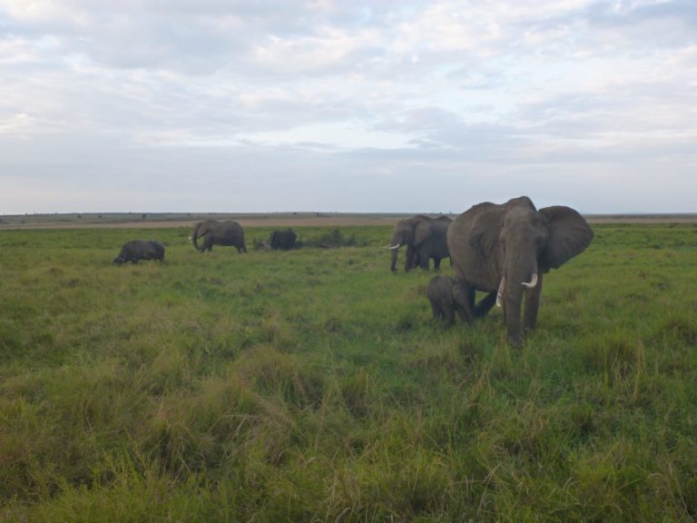 On The Road - way2blue - Massi Mara, Kenya in July 1 of 6 2
