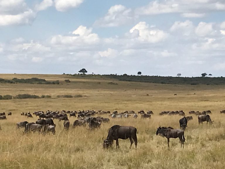 On The Road - way2blue - Massi Mara, Kenya in July 2 of 6 1