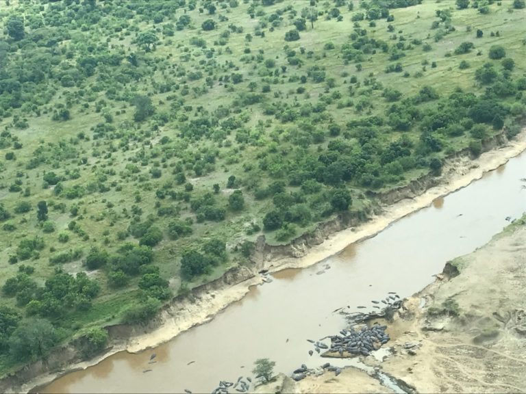 On The Road – way2blue – Massi Mara, Kenya in July 6 of 6 1