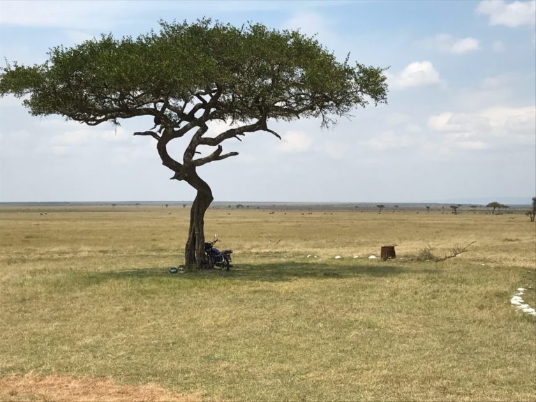 On The Road – way2blue – Massi Mara, Kenya in July 6 of 6