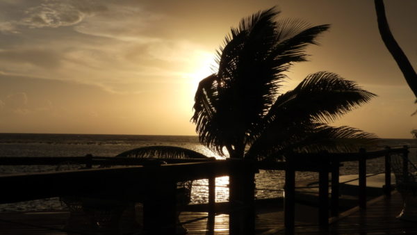 On The Road - Mike S (Now with a Democratic Congressperson!) - Turneffe Flats Resort, Turneffe Atoll, Belize 4