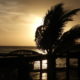 On The Road - Mike S (Now with a Democratic Congressperson!) - Turneffe Flats Resort, Turneffe Atoll, Belize 4