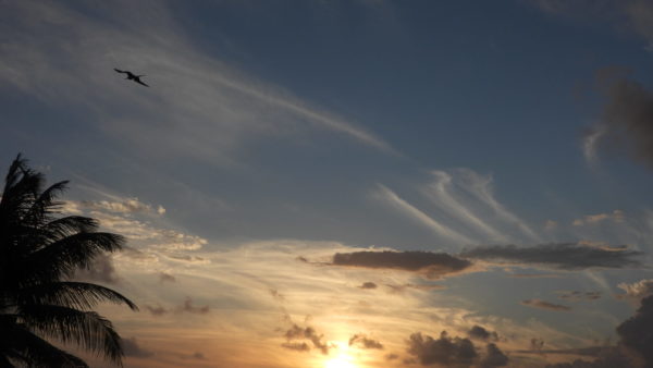 On The Road - Mike S (Now with a Democratic Congressperson!) - Turneffe Flats Resort, Turneffe Atoll, Belize 3