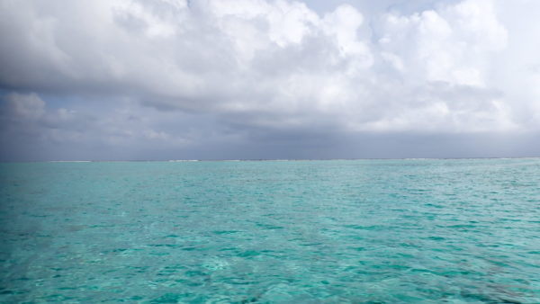 On The Road - Mike S (Now with a Democratic Congressperson!) - Turneffe Flats Resort, Turneffe Atoll, Belize 2
