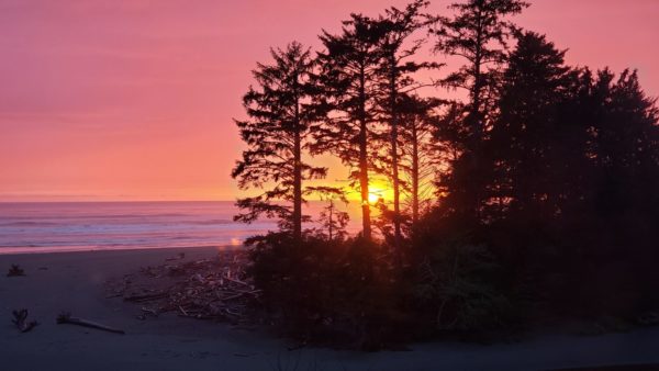 On The Road - PaulB - Olympic Peninsula: Salt Creek Recreation Area & Kalaloch Beach