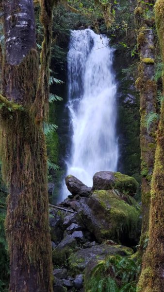 On The Road - PaulB - Olympic Peninsula: Lake Quinault Loop Drive 5