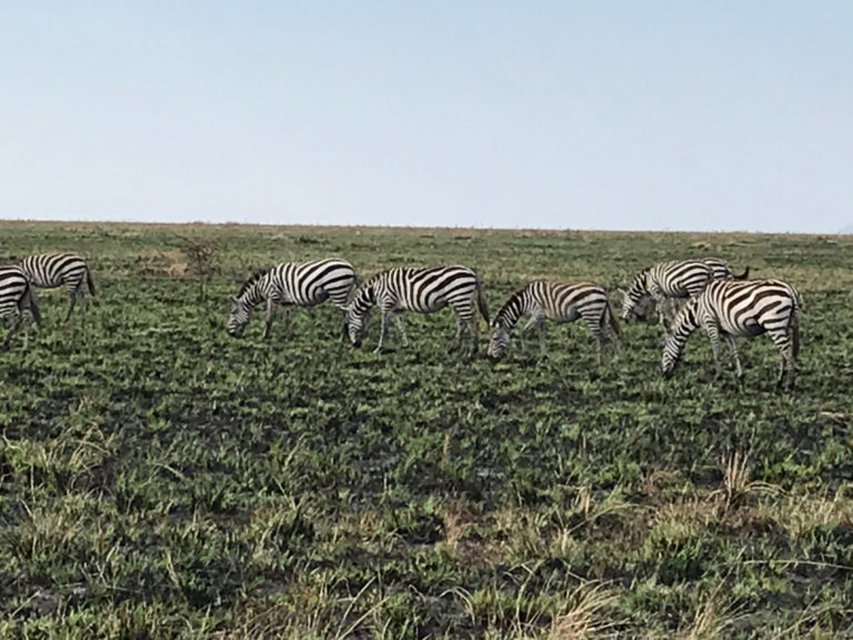 On The Road - way2blue - Massi Mara, Kenya in July 3 of 6 9