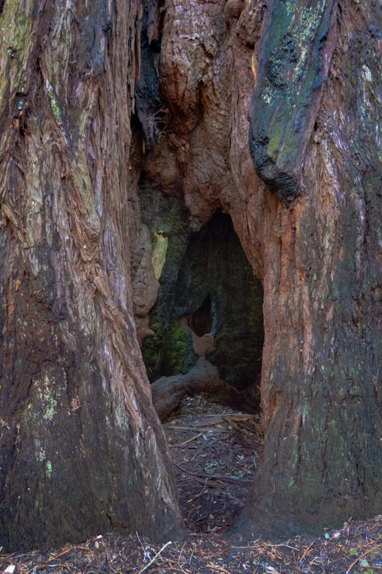 On The Road - JanieM - Mendocino 2 of 5 5