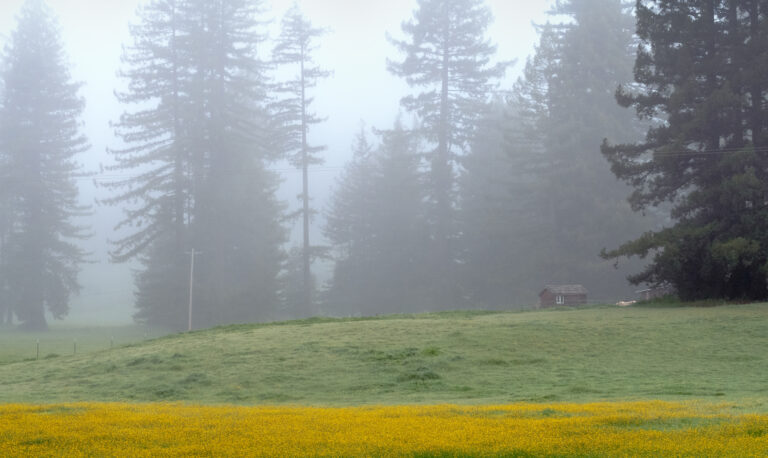 On The Road - JanieM - Mendocino 2 of 5 3