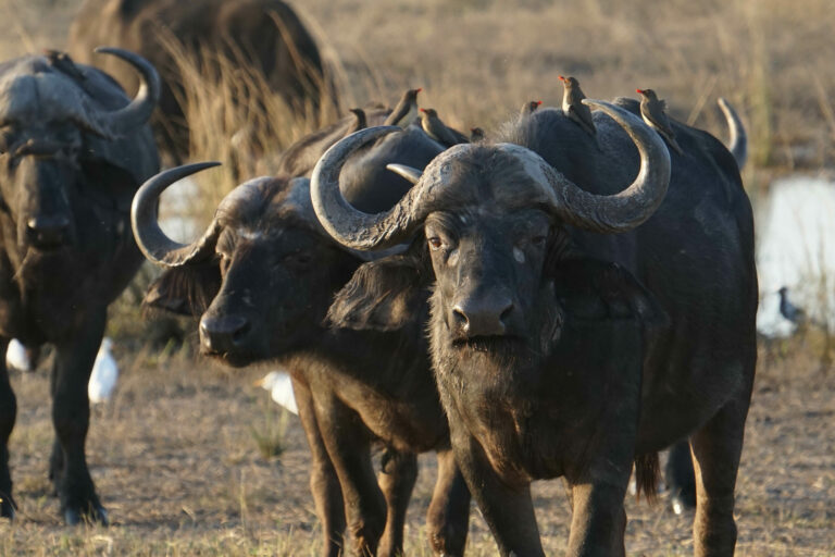 On The Road - Kabecoo - Botswana 21