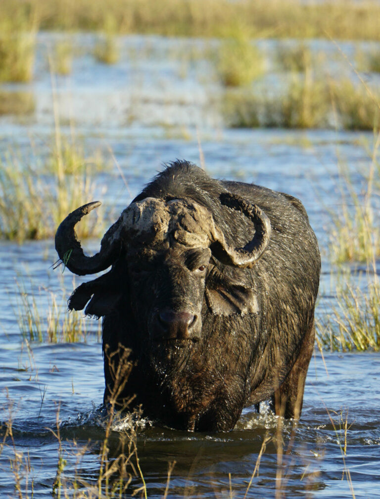 On The Road - Kabecoo - Botswana 20