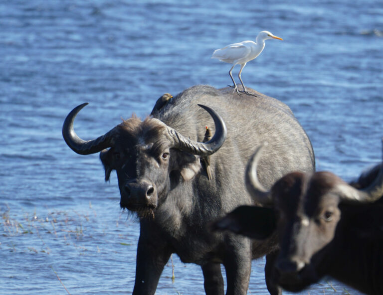 On The Road - Kabecoo - Botswana 19