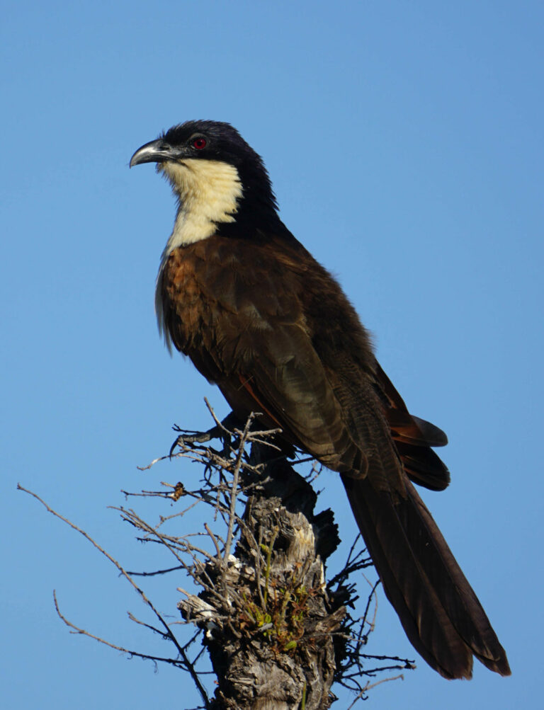 On The Road - Kabecoo - Botswana 3