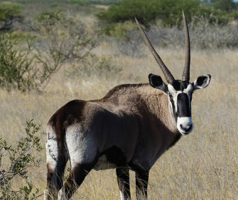 On The Road - Kabecoo - Botswana 25