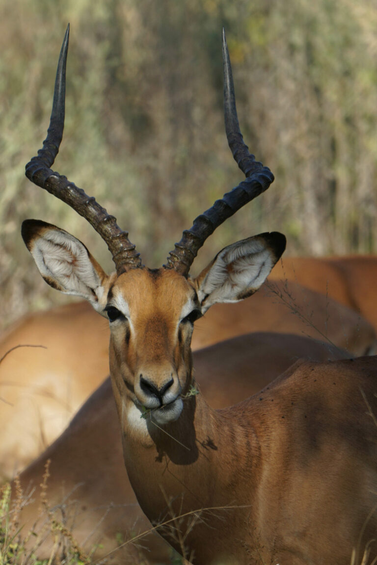 On The Road - Kabecoo - Botswana 23