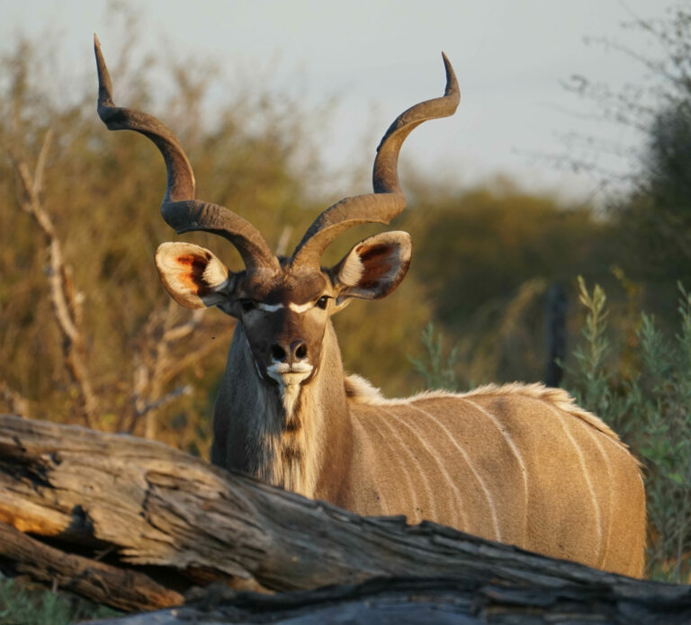 On The Road - Kabecoo - Botswana 28