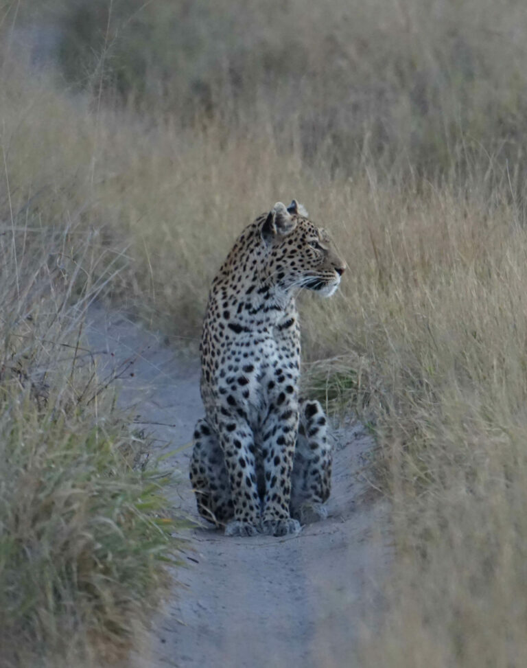 On The Road - Kabecoo - Botswana 13