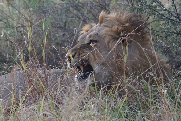 On The Road - Kabecoo - Botswana 10