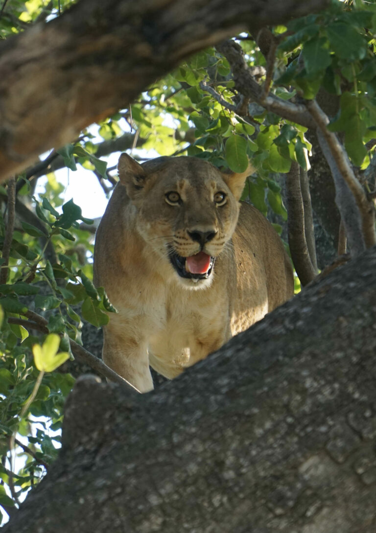 On The Road - Kabecoo - Botswana 14