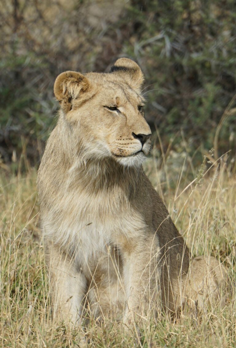 On The Road - Kabecoo - Botswana 17