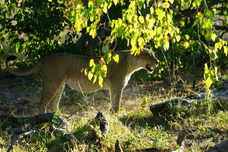 On The Road - Kabecoo - Botswana 18