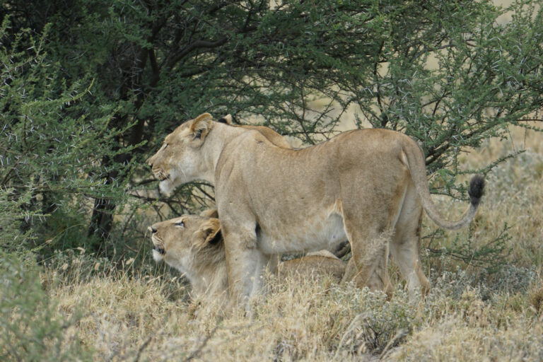 On The Road - Kabecoo - Botswana 16