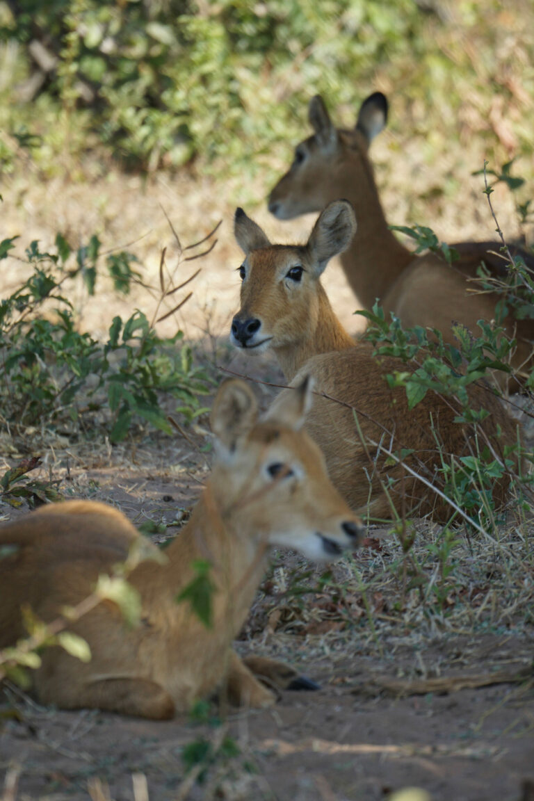 On The Road - Kabecoo - Botswana 27