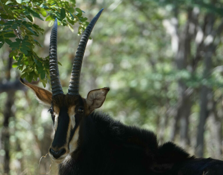 On The Road - Kabecoo - Botswana 22