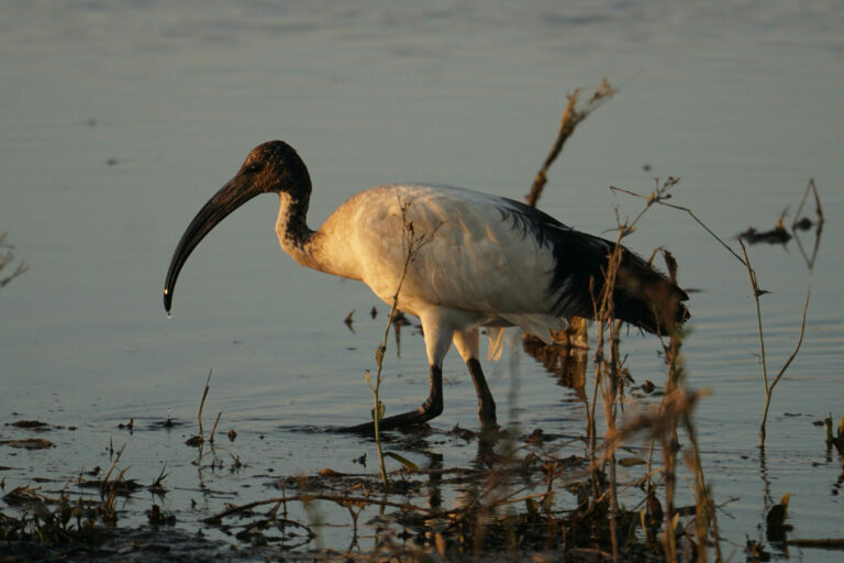 On The Road - Kabecoo - Botswana 1