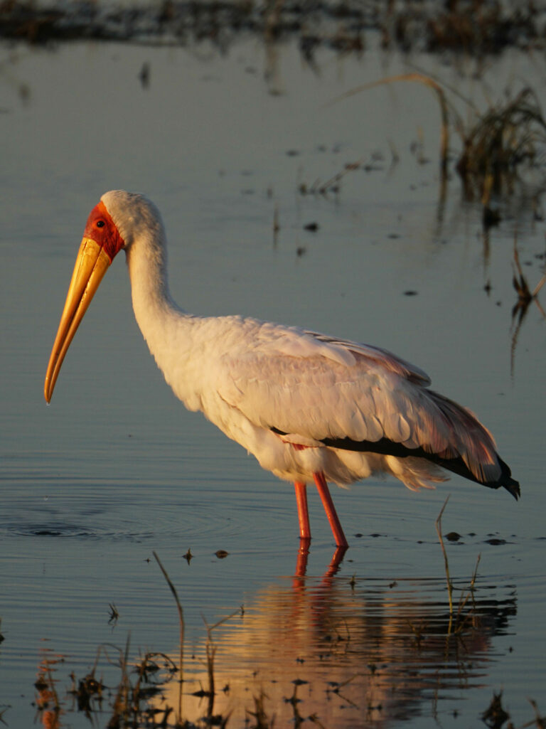 On The Road - Kabecoo - Botswana 2