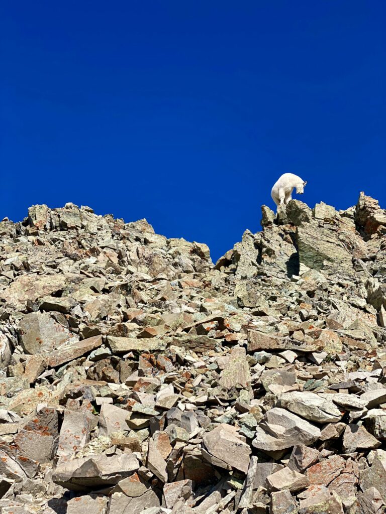 On The Road - Wag - The Elk Range and Maroon Bells (Part1) 2