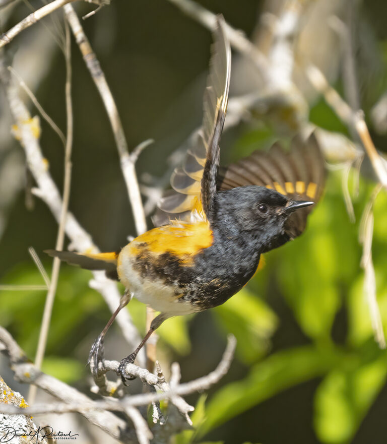 On The Road - Albatrossity - Nebraska Sandhills - Week 1