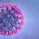 COVID-19 Coronavirus Updates: Monday / Tuesday, May 23-24 6