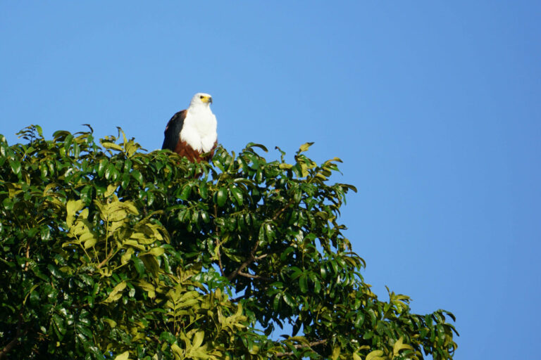 On The Road - Kabecoo - Botswana 2 1