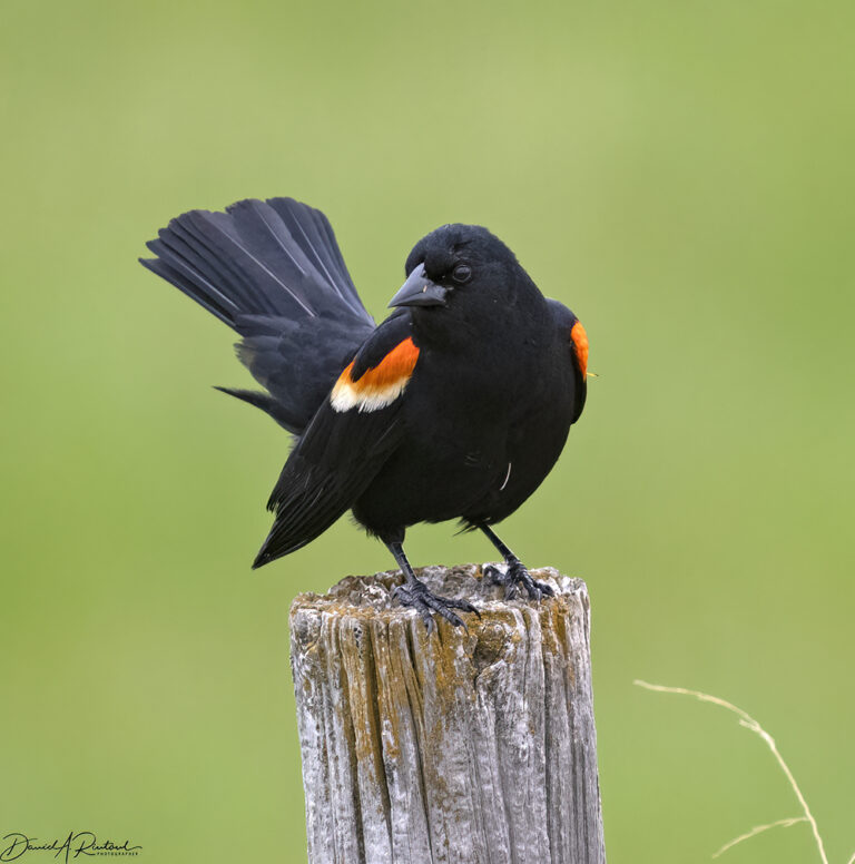 On The Road - Albatrossity - Nebraska Sandhills - Week 1 5