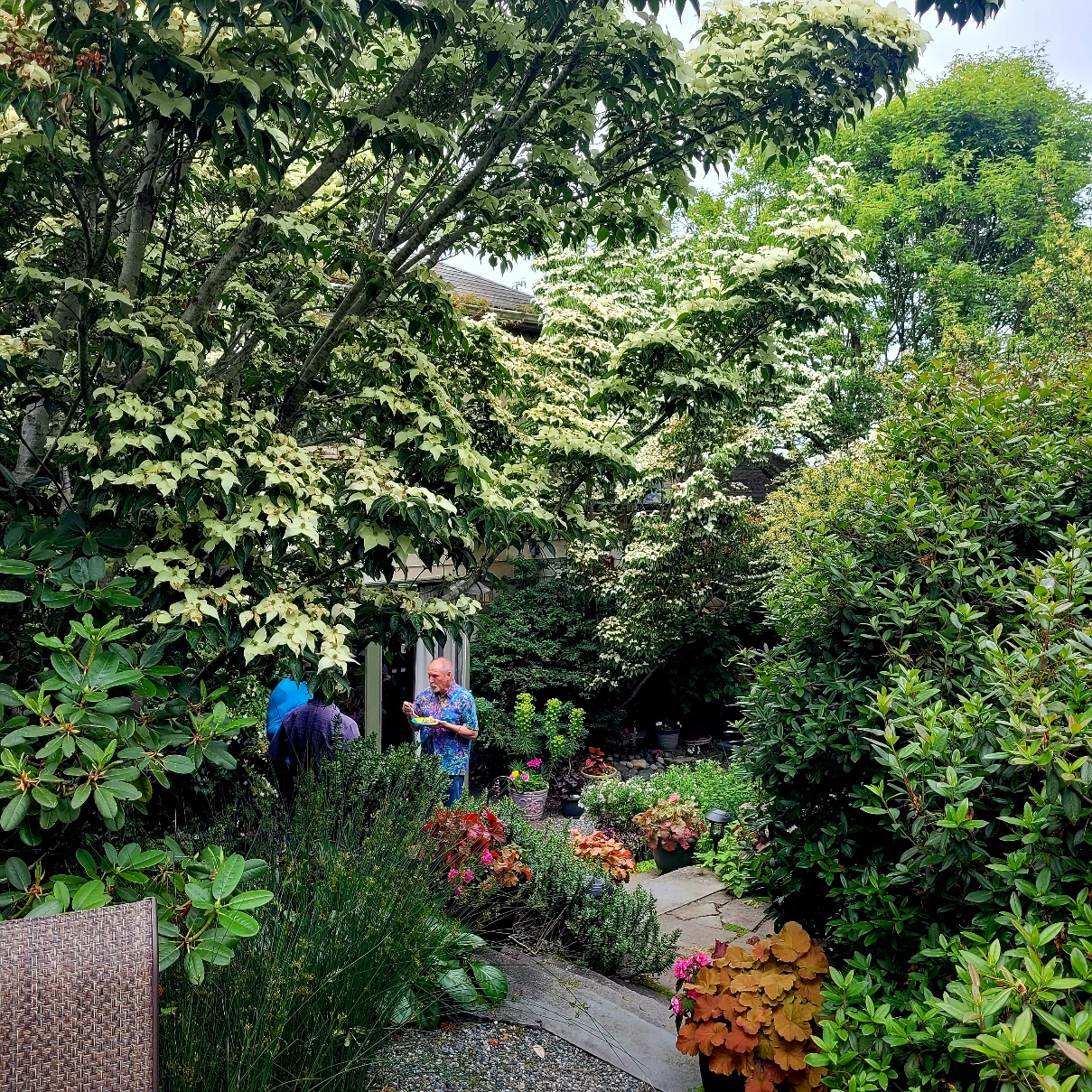 Sunday Morning Garden Chat:  Grading Seattle 4