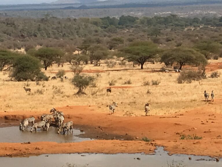 On The Road - way2blue - TSAVO NAT’L PARKS, KENYA IN JULY [1 of 8] 7