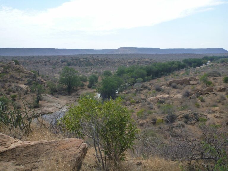 On The Road - way2blue - TSAVO NAT’L PARKS, KENYA IN JULY [4 of 8] 7