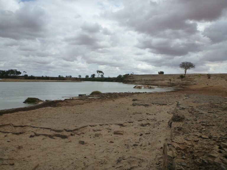 On The Road - way2blue - TSAVO NAT’L PARKS, KENYA IN JULY [8 of 8] 7