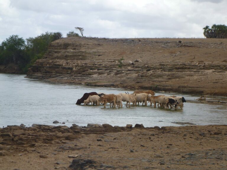 On The Road - way2blue - TSAVO NAT’L PARKS, KENYA IN JULY [8 of 8] 6