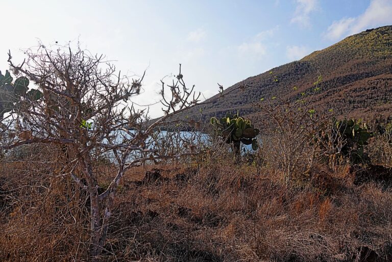 On The Road - lashonharangue - Galapagos - Part 3 6