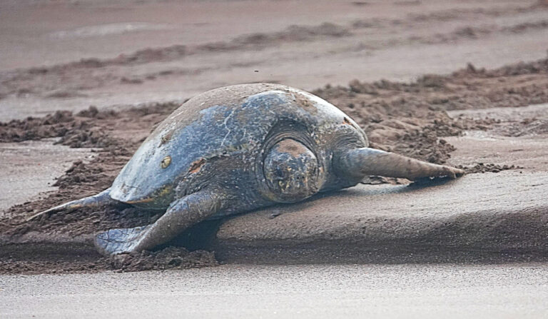 On The Road - lashonharangue - Galapagos - Part 7 6