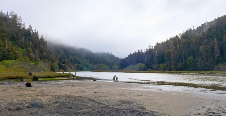 On The Road - JanieM - THE MENDOCINO COAST 8