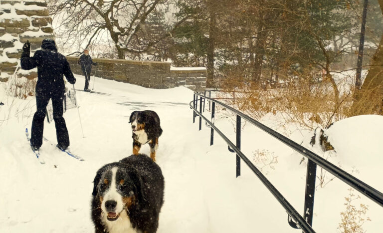 On The Road - ema - Central Park Stroll