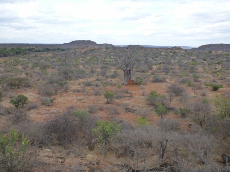 On The Road - way2blue - TSAVO NAT’L PARKS, KENYA IN JULY [2 of 8] 5