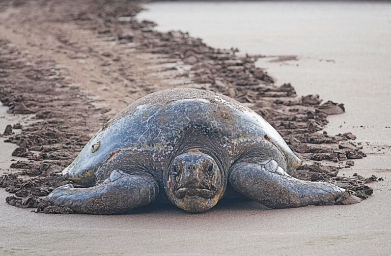 On The Road - lashonharangue - Galapagos - Part 7 5