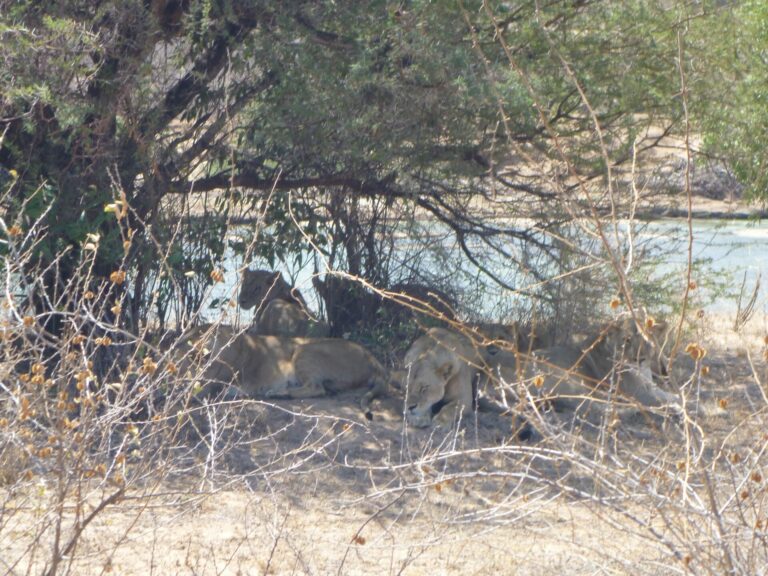 On The Road - way2blue - TSAVO NAT’L PARKS, KENYA IN JULY [4 of 8] 4